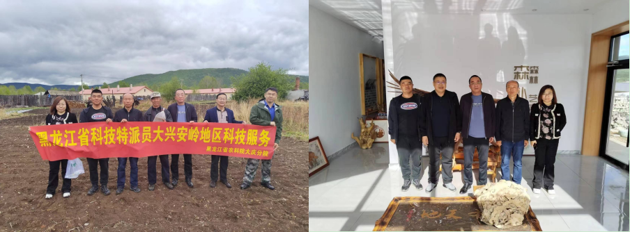 皇冠hg6668手机app