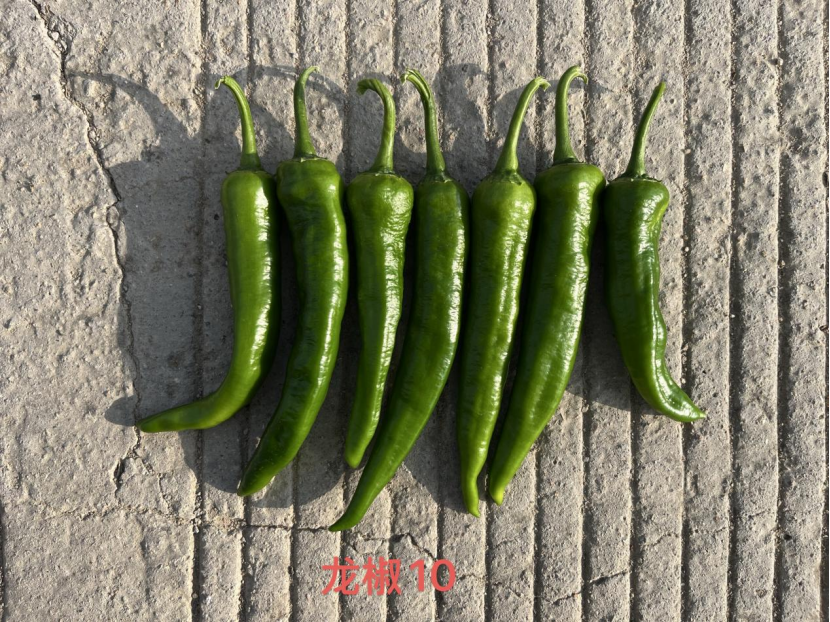 1F925D