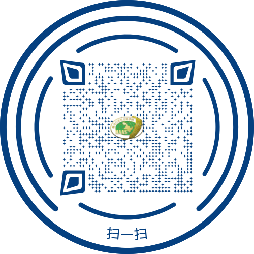 defaut preview