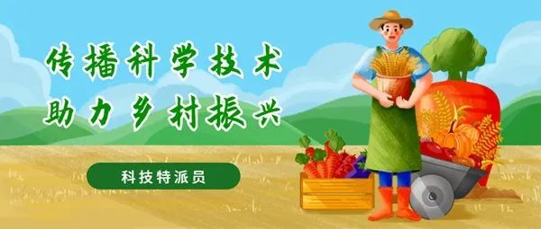 皇冠hg6668手机app